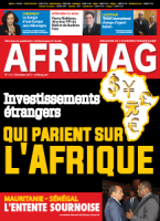 afrimag 113