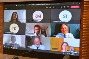 CAM - Berd en visioconférence