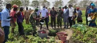 Mamoudou Nagnalen Barry, Mamady Doumbouya 