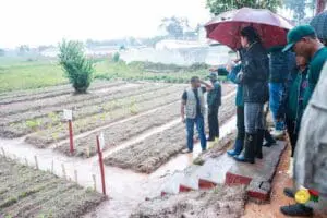 Formation à la méthode Pfumvudza