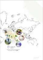 Coopération sud-sud