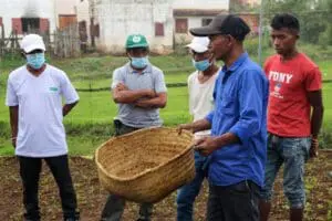 Reboisement des forêts à Madagascar 