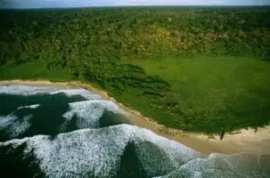 Gabon : Un montage dette-nature de 500 millions de dollars !