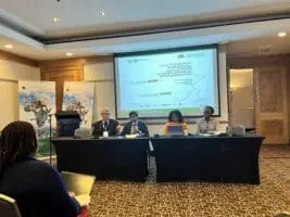 Accès des municipalités sud-africaines aux marchés des capitaux