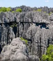 Les forêts sèches d'Andrefana à Madagascar sont désormais classées patrimoine mondial de l’Unesco
