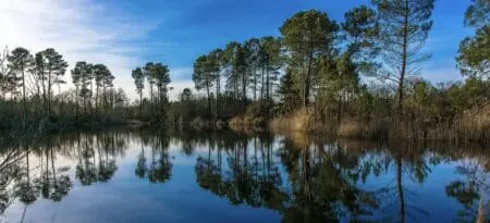 Cabane, mer de sable, faune et flore en bord d’océan peuvent-elles réveiller la ville verte et bleue pour réinventer sur son propre territoire : hébergement, animation, restauration, activité nautique, patrimoine et détente ? Faire découvrir Saint-Grégoire, son art de vivre et ses lieux d'exceptions comme on ferait découvrir Arcachon et l’un de ses personnages légendaires : Laird Macgregor, marchand écossais pionnier du commerce international sur le fleuve Niger.