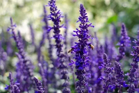 Les archives du Manitoba incluent les archives de la Compagnie de la Baie-d‘Hudson et les archives du gouvernement et du secteur privé.