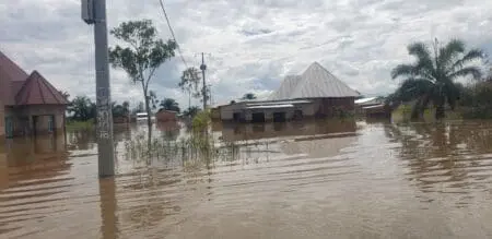 Reportage – Changement climatique : Le Burundi frappé de plein fouet A Gatumba, une zone de la commune Mutimbuzi, ouest de Bujumbura à la frontière burundo-congolaise, la situation est catastrophique. Des milliers de personnes se trouvent les pieds dans l’eau. Elles passent à la belle étoile.