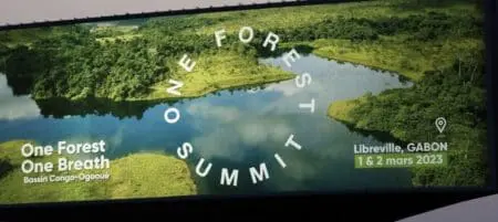 Les élites euro-atlantistes tiennent-elles vraiment compte des nouvelles réalités nationales, régionales et internationales ? Non, explique le député du Congo-Brazzaville, l’Honorable Jeremy Lissouba : «Le monde occidental ne peut renverser cette trajectoire qu'en recherchant un véritable renouveau dans ses relations avec les pays d'Afrique et d'Asie, remettant en question sa propre compréhension de ce qu'est réellement un partenariat respectueux entre des nations également légitimes.»