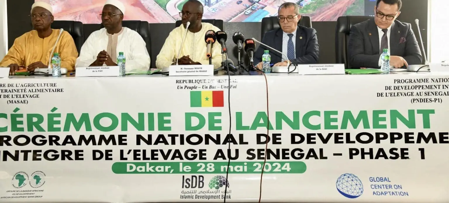 Le projet d’une durée cinq ans sera mis en œuvre dans les régions de Dakar, Diourbel, Fatick, Louga, Kaffrine, Kaolack, Kolda, Sédhiou, Thiès et Ziguinchor. Au moins 32 000 personnes, impliquées dans les chaînes de valeur de l’élevage profiteront directement du projet parmi lesquelles 16 000 femmes et jeunes. En outre, 950 000 personnes (dont 51 % de femmes) bénéficieront indirectement de la mise en œuvre du projet.