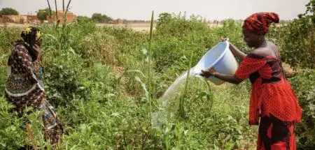 «Ce projet constitue un levier important de la transformation agricole en Mauritanie. Il va impulser l’autonomisation des femmes, la productivité, la production et le conditionnement de légumes. Il favorisera la constitution de pôles et de bassins locaux de production maraîchère en toute saison, permettant ainsi d’éviter les ruptures de production au niveau national», a expliqué la responsable pays de la Banque pour la Mauritanie, Malinne Blomberg.