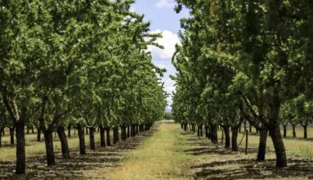 Le programme appuie l’adoption de pratiques et de technologies agricoles résilientes au climat par les acteurs de la chaîne de valeur agricole (petits exploitants agricoles, sociétés coopératives agricoles et associations de producteurs locaux), couvrant environ 40 000 hectares de terres, selon la BAD.