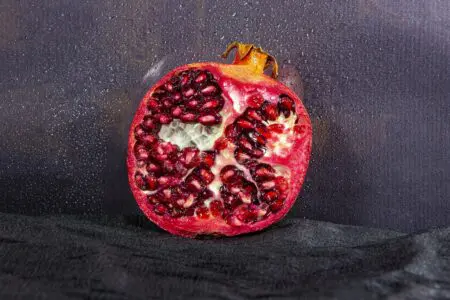 Lancée pour la première fois début 2015 par Tessa Clarke et Saasha Celestial-One, en octobre 2017, la société avait levé 2,2 millions de dollars. Le financement de série A d'Olio a été mené par Octopus Ventures, avec des investisseurs tels qu'Accel, Quadia et Quentin Griffiths contribuant aux 6 millions de dollars levés. L'application Olio comptait environ 7 millions d'utilisateurs enregistrés en mai 2023.