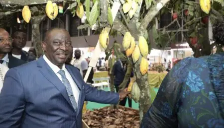 Cette année, les cours mondiaux du cacao ont dépassé toutes les prévisions, atteignant 10 000 dollars la tonne à New York, avec une hausse de 170 % à Londres pour les livraisons de septembre 2024. «Sur la terre battue de Soubré, c’est le prix fixé par le gouvernement qui compte », déclare un officiel. «Le marché mondial, c’est pour les grandes entreprises. Nous, ce qu’on veut, c’est un prix juste et stable», ajoute Koffi, un opérateur de la filière café-cacao, tout en saluant la décision gouvernementale, car “le mécanisme mis en place par le gouvernement nous protège.”