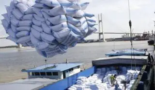 Le tarif pour le transport d’un conteneur de riz équivalent 20 pieds (EVP) du port indien de Vizag à destination de Cotonou et de Lomé, est passé à 2.400 dollars, contre 1.900 en octobre dernier, soit 500 dollars de plus en un an. Selon les négociants interrogés par la branche de l’agence S&P spécialisée dans les matières premières, cet emballement du coût du fret maritime s’explique par l’afflux massif de cargaisons depuis la mi-novembre.