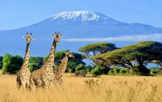 "La fonte des glaciers du Kilimandjaro, inscrit sur la Liste du patrimoine mondial de l’Unesco depuis 1987, représente une menace imminente pour plus de deux millions de personnes en Tanzanie et au Kenya", a souligné la Directrice générale de l’Unesco, Audrey Azoulay, citée dans le communiqué.