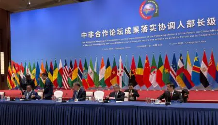 La Chine est le premier partenaire commercial du continent africain depuis 2008. Les échanges commerciaux bilatéraux ont atteint 295,56 milliards de dollars en 2024, selon des données publiées par l'administration générale de la douane chinoise. Les exportations de l’empire du Milieu vers les pays africains ont augmenté de 3,5% durant l’année écoulée pour s’établir à 178,76 milliards de dollars, alors que les importations chinoises en provenance du continent ont totalisé 116,79 milliards de dollars, enregistrant ainsi une hausse de 6,9% par rapport à 2023.  