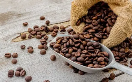 Dans l’Empire du Milieu, la consommation de café a été multipliée par plus de 2 passant de 2,4 millions de sacs à environ 5,6 millions de sacs l’année dernière. Ce niveau a propulsé le pays au rang de sixième marché mondial derrière l’Union européenne, les Etats-Unis, le Brésil, les Philippines et le Japon. La conversion des jeunes chinois au café s’est traduite par un développement spectaculaire des chaînes de distribution locales et des réseaux de franchises des majors internationaux comme Starbucks. Voilà qui ouvre des opportunités aux grands producteurs africains au moment où les cours internationaux du café restent fermes, malgré une accalmie de ces derniers jours.