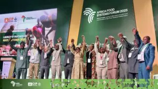 Hajar Alafifi, la toute nouvelle CEO d’OCP Africa, a été élue présidente du conseil d’administration de la Pan-African Fertilizer Industry Association, après la désignation unanime du Groupe OCP comme représentant de la catégorie des fabricants. Le premier conseil d’administration de cette organisation a réuni des acteurs clés de l’industrie, parmi lesquels Solevo - une plateforme leader de distribution de produits chimiques spécifiques et partenaire des agriculteurs, des entreprises et des communautés à travers l'Afrique-, et l’Association kényane des engrais.