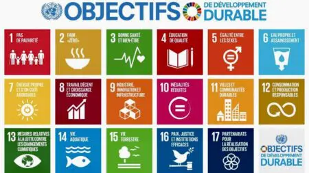 Longtemps réduite à ses richesses naturelles et à son potentiel extractif, l’Afrique est avant tout riche de sa jeunesse. Près de 60 % des Africains ont moins de 25 ans – un avantage comparatif unique à l’échelle mondiale. Mais cet atout peut se transformer en risque si les systèmes éducatifs, sanitaires et d’employabilité ne sont pas adaptes pour en libérer la valeur. Le capital humain ne se limite pas à des talents bien formes académiquement. Il englobe l’ensemble des compétences, connaissances, aptitudes, savoir-faire et valeurs qui permettent à un individu d’être acteur de son destin, productif et engagé dans la société.