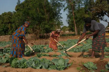 Dans de nombreuses régions du monde, et particulièrement dans les zones rurales, les femmes constituent la colonne vertébrale de l’agriculture. Elles sèment, cultivent, récoltent et transforment les aliments qui nourrissent des millions de personnes. Pourtant, paradoxalement, elles figurent parmi les premières touchées par la faim.