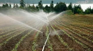 Gestion de la rareté | La Banque mondiale alerte : réformer l’eau en agriculture pour nourrir 10 milliards de personnes