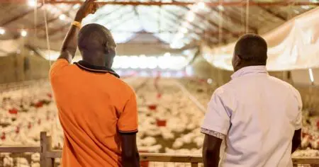 Le gouvernement béninois a franchi un nouveau cap dans sa politique de soutien aux entreprises en annonçant la mobilisation de 7,7 milliards FCFA, soit environ 13,5 millions de dollars. Cette enveloppe vise à accompagner 365 petites et moyennes entreprises dans le cadre de la cohorte 2026 du Projet d’appui à l’entrepreneuriat au Bénin (PAEB), selon un communiqué publié le 19 mars.