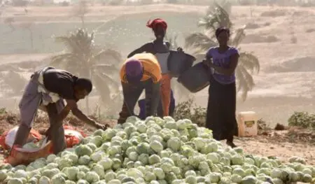 Selon ses auteurs, ce rapport est le premier état des lieux mondial complet de la question foncière détaillant les modalités de détention, utilisation et gouvernance des terres.   Les Etats sont propriétaires de plus de 64% des terres dans le monde, même si ce chiffre englobe des terres sous régime coutumier pour lesquelles il existe des droits reconnus mais pas de titre formel de propriété.