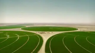 Cette structure crée un paradoxe bien documenté. Plusieurs pays africains importent des produits alimentaires transformés issus de cultures qu’ils produisent eux-mêmes. Selon la Banque africaine de développement, la facture des importations alimentaires dépasse 50 milliards de dollars par an et pourrait atteindre 110 milliards d’ici la fin de la décennie. Au-delà du commerce, c’est un enjeu industriel : faible transformation signifie faible captation de valeur, peu d’emplois qualifiés et une dépendance accrue aux chocs extérieurs.