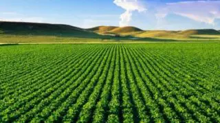 Le Crédit Agricole du Maroc et le ministère de l’Agriculture, de la Pêche maritime, du Développement rural et des Eaux et Forêts ont franchi une nouvelle étape dans leur coopération. Le 23 avril 2026, en marge du Salon international de l’agriculture au Maroc (SIAM), les deux institutions ont signé à Meknès une convention de partenariat portant sur le déploiement d’un programme d’éducation financière au profit des bénéficiaires du projet PADERMO dans la région de l’Oriental.