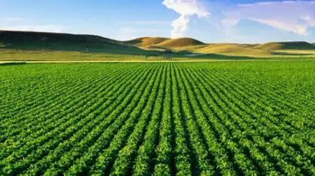 Le Crédit Agricole du Maroc et le ministère de l’Agriculture, de la Pêche maritime, du Développement rural et des Eaux et Forêts ont franchi une nouvelle étape dans leur coopération. Le 23 avril 2026, en marge du Salon international de l’agriculture au Maroc (SIAM), les deux institutions ont signé à Meknès une convention de partenariat portant sur le déploiement d’un programme d’éducation financière au profit des bénéficiaires du projet PADERMO dans la région de l’Oriental.