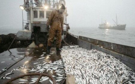 Accord de pêche Sénégal-UE