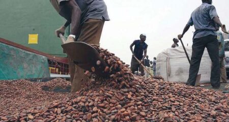 A part l’effondrement de la production en Afrique de l’Ouest, les stocks de cacao dans les ports américains sont tombés à leur niveau le plus bas depuis près de trois ans. Les chocolatiers américains ont transformé 3% de fèves de cacao en moins au quatrième trimestre 2023. Pour ne rien arranger, le sucre, l'autre ingrédient clé du chocolat, a vu son prix augmenter d'environ 25% l’an dernier.