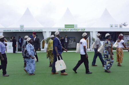 Caravane de l’OCP à Yamoussoukro : Les producteurs ivoiriens de cacao en redemandent ! OCP en Cote d'Ivoire