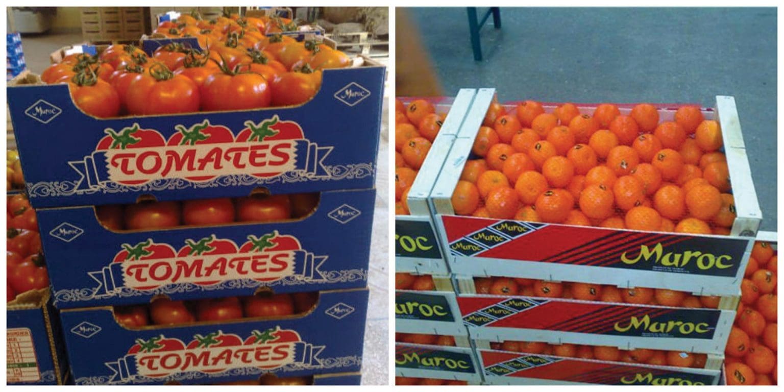 Produits alimentaires : L’Afrique du Sud, la Côte d’Ivoire et le Maroc, champions de l’export TOMATE et ORANGE du Maroc