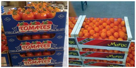 Produits alimentaires : L’Afrique du Sud, la Côte d’Ivoire et le Maroc, champions de l’export TOMATE et ORANGE du Maroc