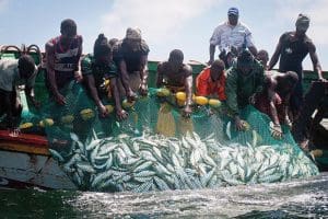 Pêche dans les côtes mauritaniennes