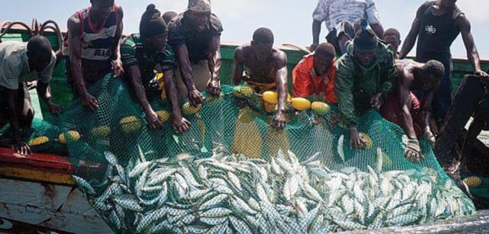 Pêche dans les côtes mauritaniennes