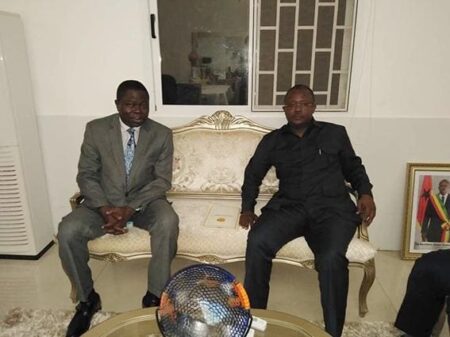 Fagace, Guinée bissau