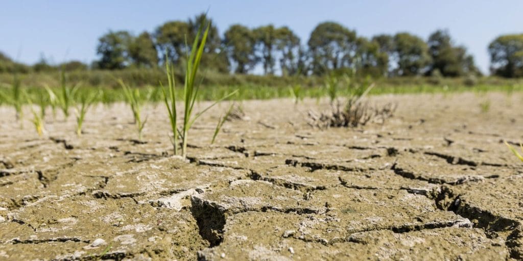 Changement climatique : le réchauffement fait peser des menaces croissantes sur l’Afrique