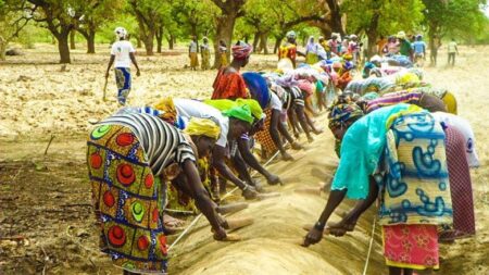 «Restore Africa Soils» : Le Burkina à l’honneur