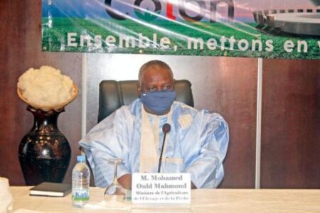 Le ministre malien de l'agrigulture aux Assises nationales du coton