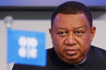 Barkindo Opep, Pétrole, gaz
