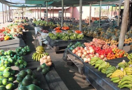 Afrique du Sud : Des exportations agricoles de 10,2 milliards de dollars