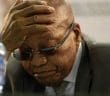 Les Sud-africains sont appelés aux urnes dans deux mois pour renouveler un Parlement qui choisira ensuite le prochain président. Jacob Zuma, 81 ans, ancien pilier du Congrès national africain (ANC), parti au pouvoir depuis trente ans, a créé la surprise en décembre en annonçant soutenir le petit parti radical Umkhonto We Sizwe (MK, lance de la nation en zoulou) récemment créé.