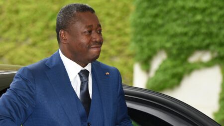 Agriculture : le pari fou du Togo pour développer 4 filières à l’horizon 2030 president togo