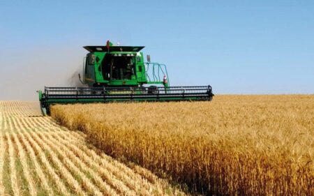 ODD : Les subventions agricoles, un poison pour l’environnement !