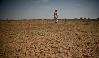 La branche «Agriculture, Forêt et Pêche» paie un lourd tribut à la sécheresse qui sévit au Maroc depuis deux ans. Elle a perdu 202.000 postes, essentiellement dans le monde rural, selon le Haut-commissariat au Plan (HCP).