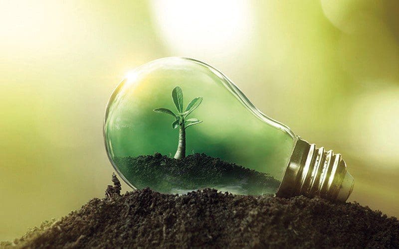 rse green