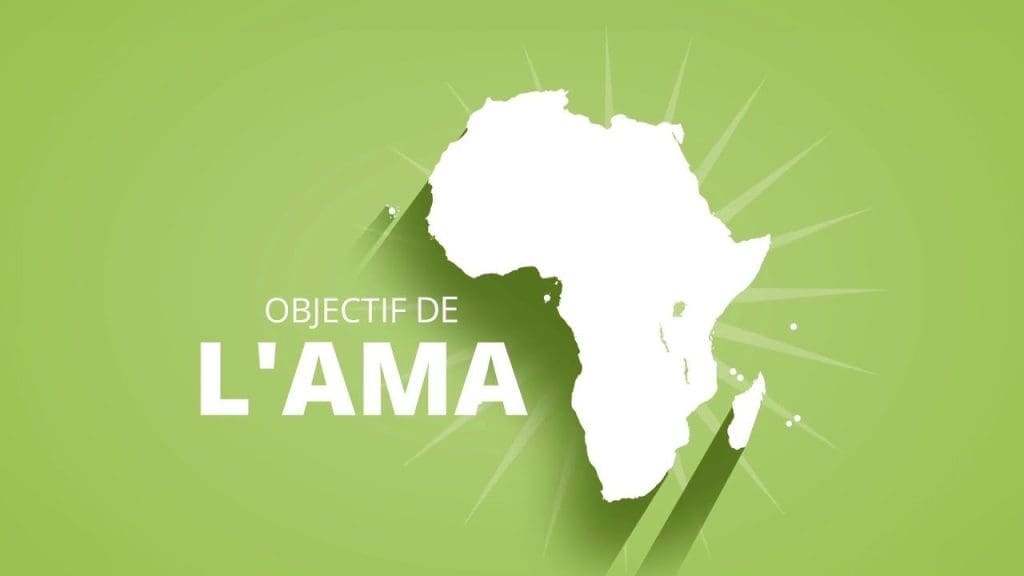 Tunis candidate pour le siège de l’Agence africaine du Médicament